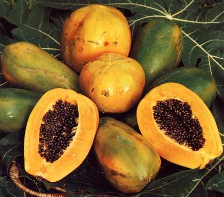 La papaye, le fruit exotique anti-âge